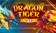 Darwin - Dragon Tiger VIP
